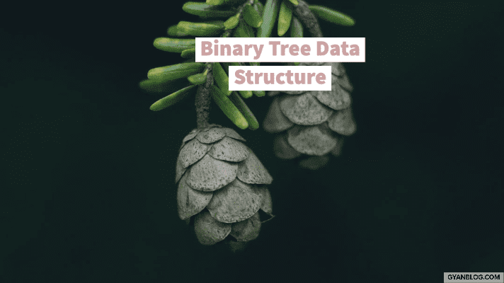 Binary Tree Data Structure