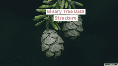 Binary Tree Data Structure