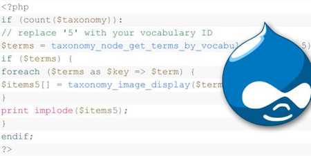 Drupal Helpful codes for database queries