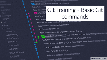 A Practical Guide on how to work with Git Basic Commands and workflows