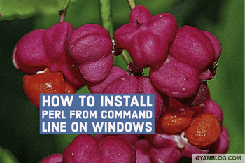 How to install Perl from Command Line for Automation on Windows and Dockerfile